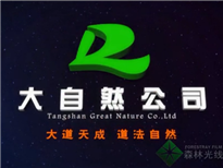 大自然管理咨詢(xún)公司宣傳片